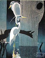 Quiet Pond, 1988