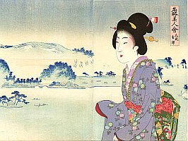 By Chikanobu Toyohara - Meisho Bijin Awase