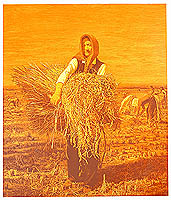 My Land and Me My Land and Me