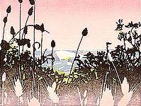 Grass and Banksia, 2005