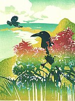 Currawongs