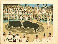 Bull Fight in Iyo