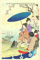 Viewing Cherry Blossom - 