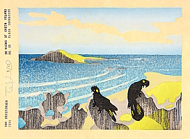 Black Cockatoos, 2008