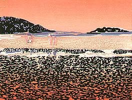 Conjola Sandflats - copyright Tom Kristensen, 2004