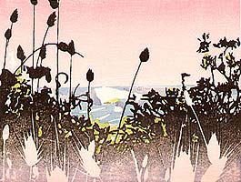 Grass and Banksia - copyright Tom Kristensen, 2005