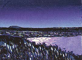 Lake Conjola
