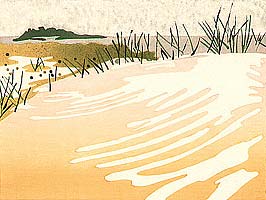 Sand Dunes