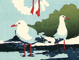 Seagulls - copyright Tom Kristensen, 2005
