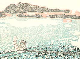 Shell and Sand - copyright Tom Kristensen, 2005