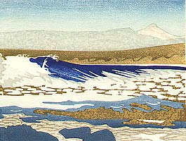 Wave and Kelp