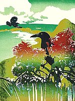 Currawongs Lord Howe Island
