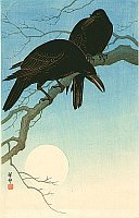 Crows in Moonlight
