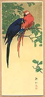 Blue and Red Macaws
