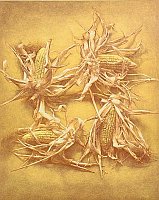 Maize No. 4, 2004
