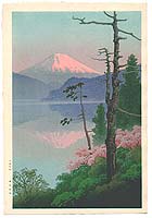 Mt. Fuji - 