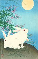 Rabbits and the Moon