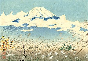 Japanese Print