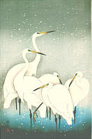 Herons in the Snow