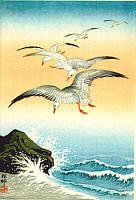 Seagulls - ca. 1935