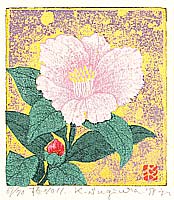 Camellia No. 11