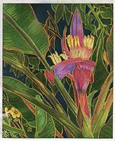 Banana Flower, 2005 Banana Flower, 2005