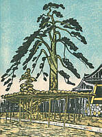 Hoshifuri Pine - 100 Views of Tokyo