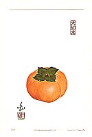 Kaki Z-4, 1988 - copyright Maki Haku