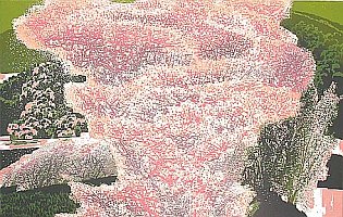 Moderate Breeze, 2004 - copyright Chen Yuping
