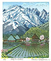 Rice Field in Hakuba Village, 1995 - copyright Osamu Sugiyama