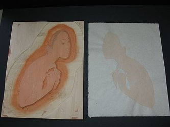 Flesh Block and Proof - copyright Paul Binnie