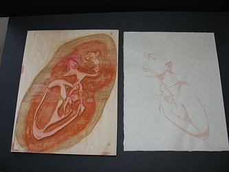 Flesh Shading Block and Proof - copyright Paul Binnie