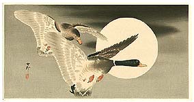 Zwei Enten und der Mond