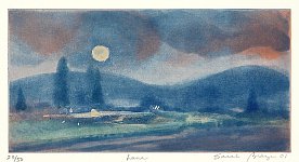 Luna, 2001, aquatint - copyright Sarah Brayer