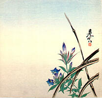 Bell Flowers - 