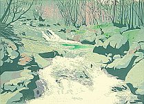 The Spring of Stream