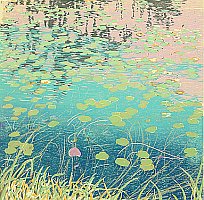 Wild Water Lilies