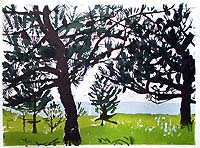 Chejudo, silkscreen