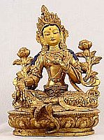 Tara.