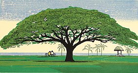 Hawaiin Tree, 1984 - copyright Takuma Hanawa