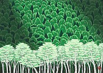 Sanroku, 2001