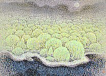 Kishibe no mori, 2006