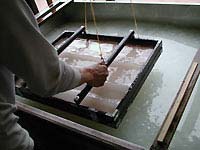 Siebdruck