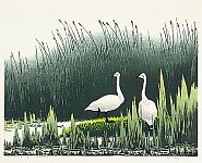 Early Sprint, 1993