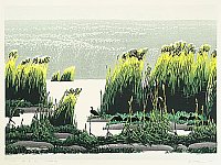 Roost, 1991