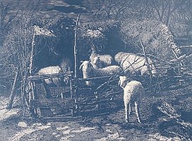 copyright Zhou Bin copyright Zhou Bin