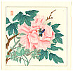 Chikuseki active ca. 1900 - Butterfly and Peony - artelino Art Auctions. Chikuseki active ca. 1900 - Butterfly and Peony