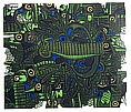 Cheng Hsu born 1959 - Fish Shaped Vegetable No. 1