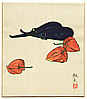 Yoshio Takagi born 1923 - Eggplants and Lantern Plants - artelino Art Auctions. Yoshio Takagi born 1923 - Eggplants and Lantern Plants