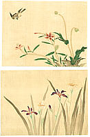 Tsunetomi Kitano 1880-1947 - Flower and Bird (2 sheets) - artelino Art Auctions. Tsunetomi Kitano 1880-1947 - Flower and Bird (2 sheets)